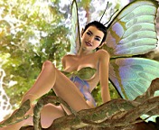  - ,       -  